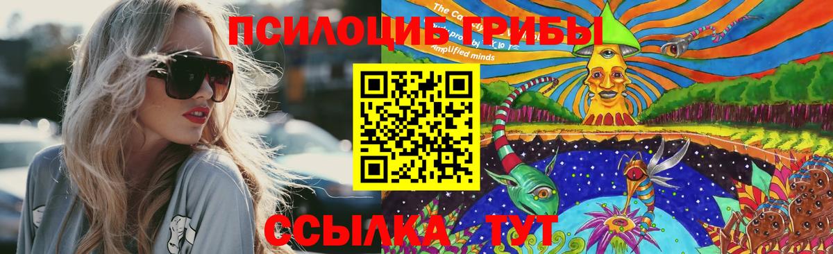 Псилоцибиновые грибы мухоморы  закладки  Изобильный  Вход с VPN 